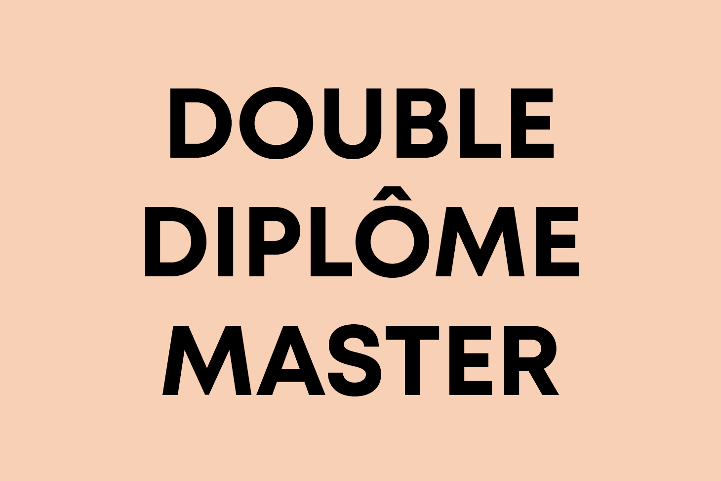 double diplôme master