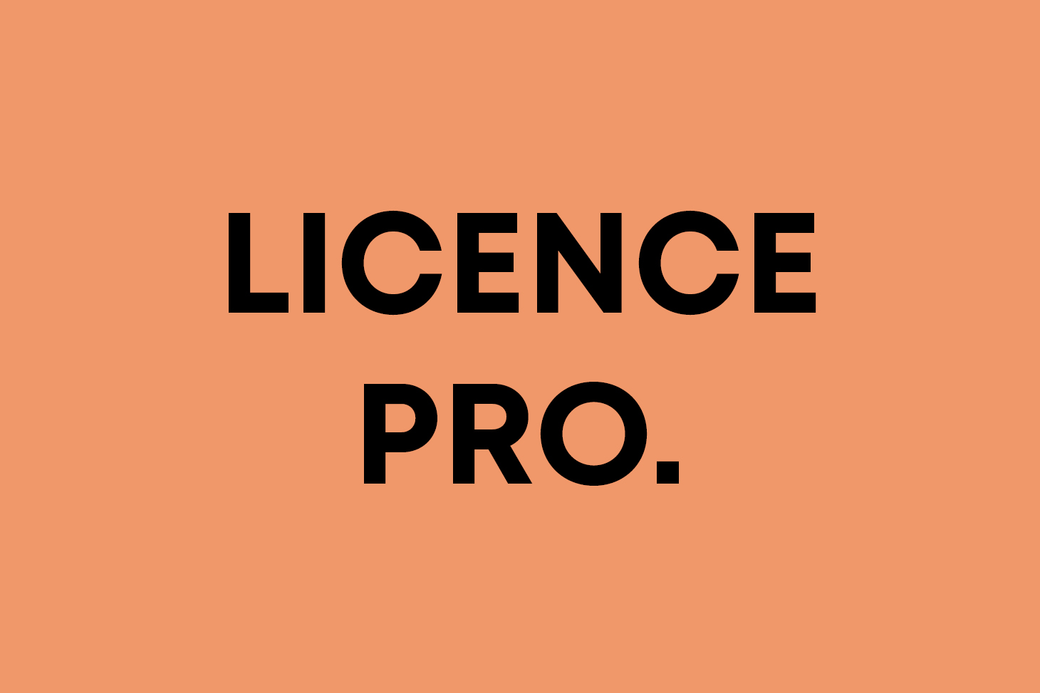 Licence pro